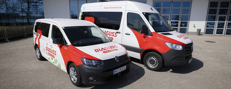 Blaguss Minibus Fahrsicherheitstraining