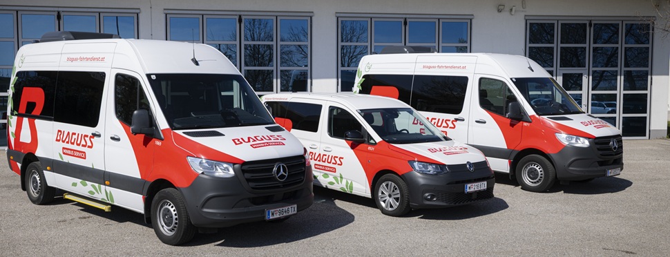 Blaguss Minibus Fahrsicherheitstraining